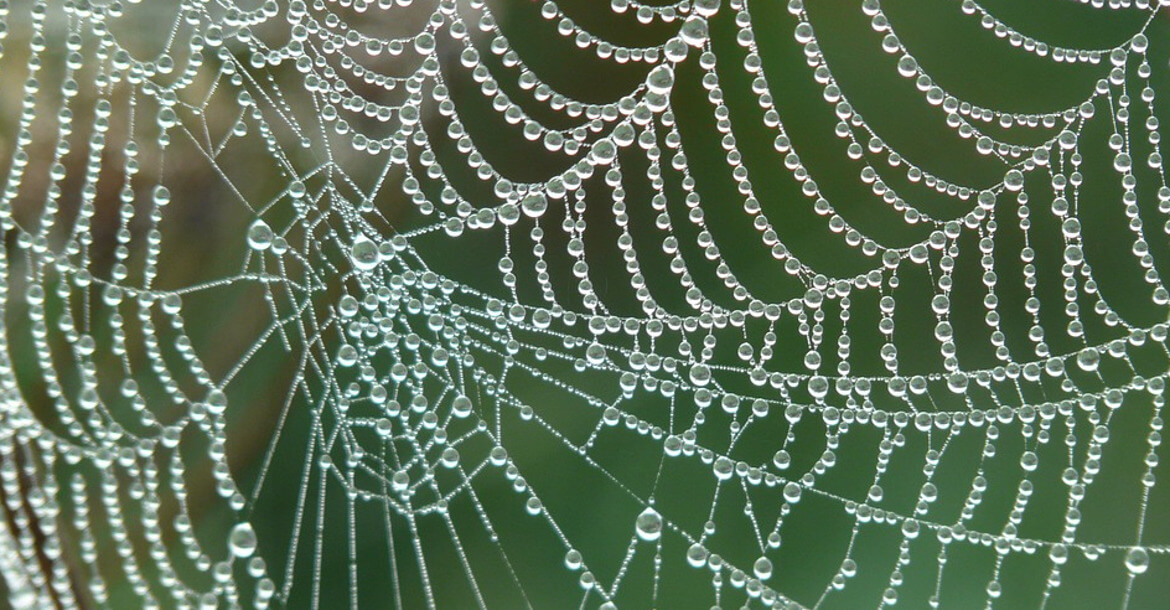 Hrvatski mrežni rječnik