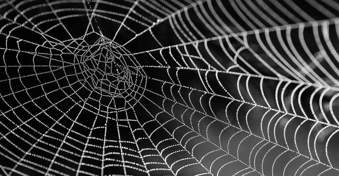 Hrvatski mrežni rječnik